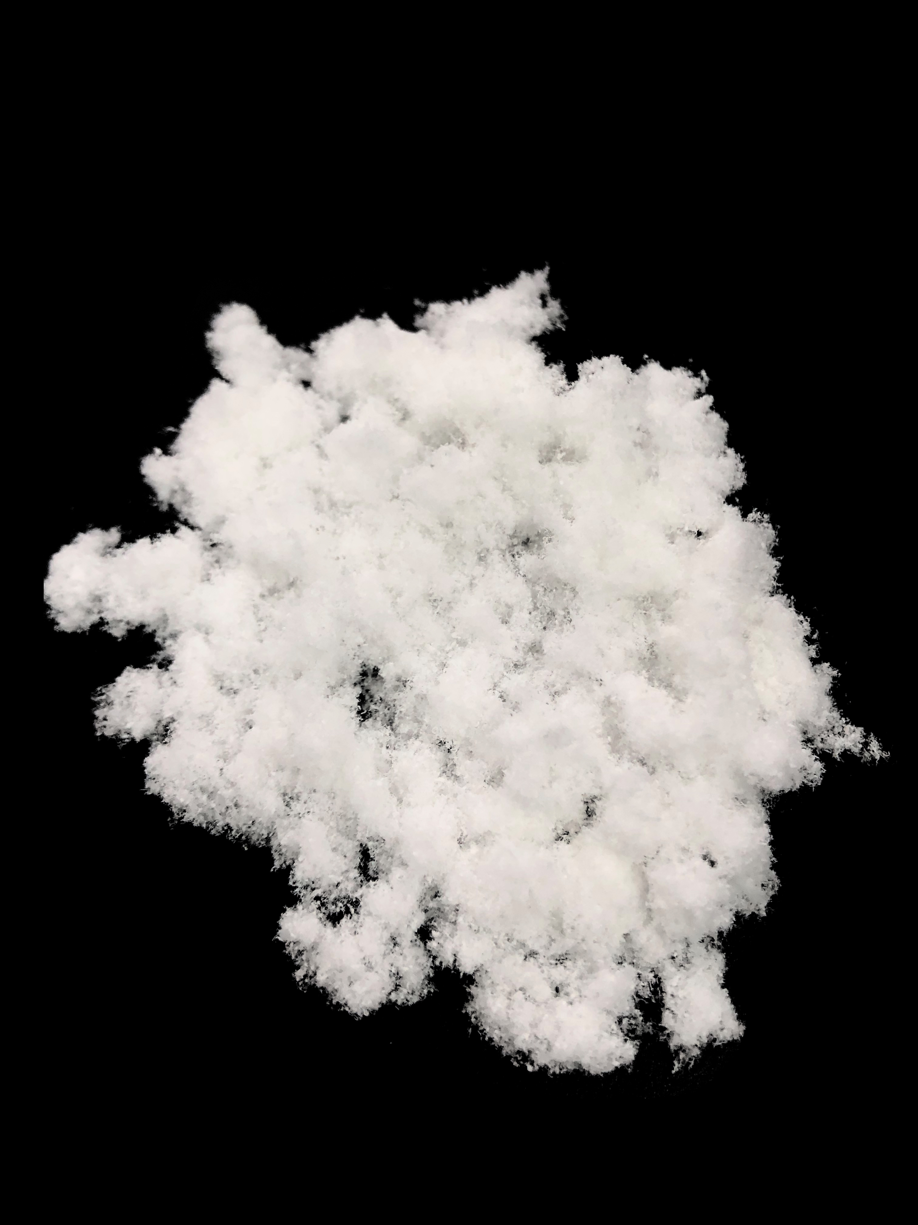 宮腔用脫細胞真皮基質